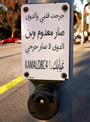kamal_obc4